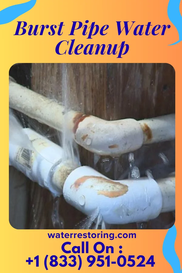 Burst Pipe Water Cleanup in Kittrell, NC