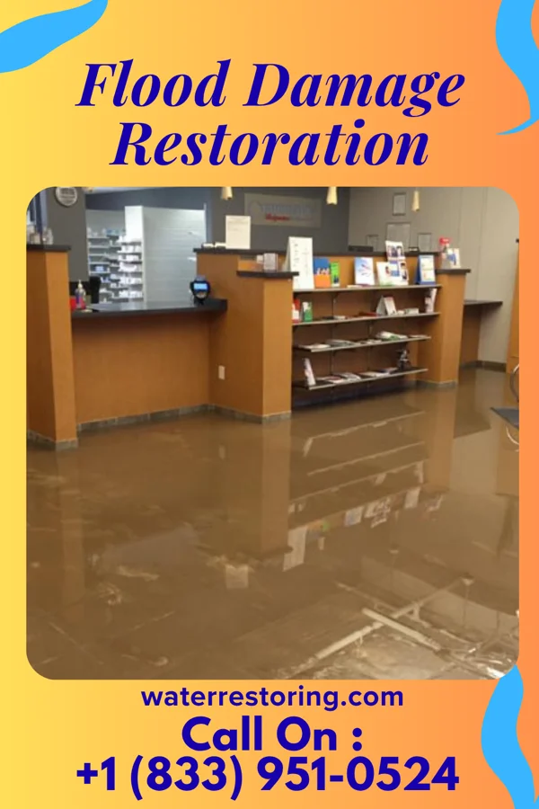 Flood Damage Restoration in Kittrell, NC