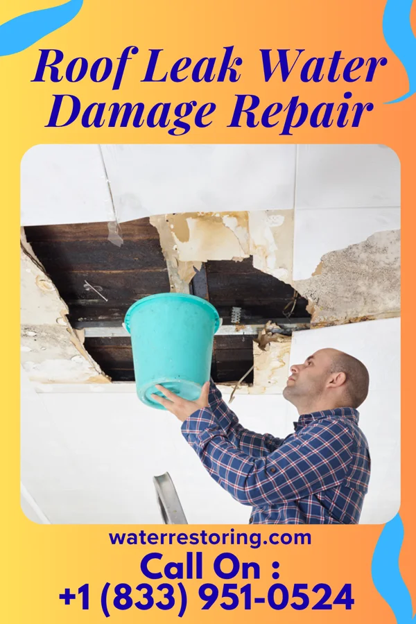 Roof Leak Water Damage Repair in Kittrell, NC