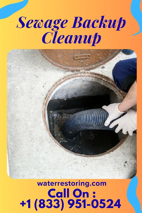 Sewage Backup Cleanup in Kittrell, NC
