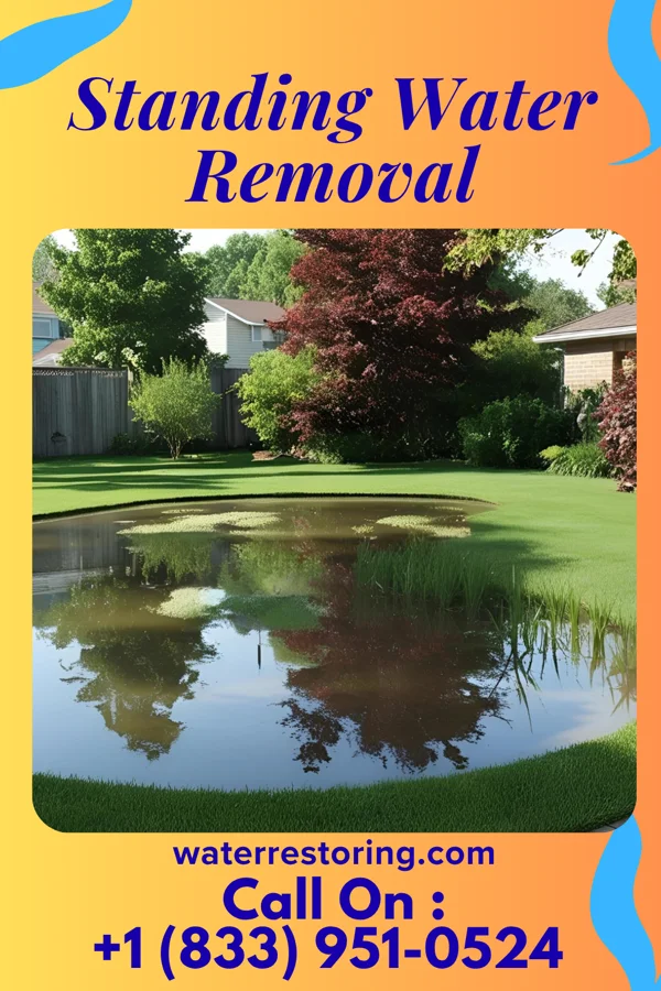 Standing Water Removal in Kittrell, NC